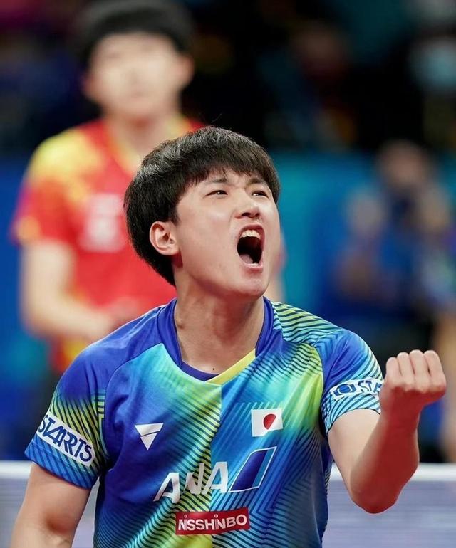 波兰乒乓球队轻取比利时乒乓球队,张本智和制霸全场 波兰乒乓球队轻取比利时乒乓球队,张本智和制霸全场