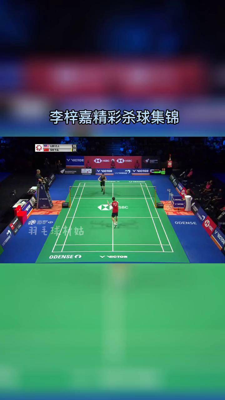 丹麦队横扫法国队,李梓嘉刷新纪录 丹麦队横扫法国队,李梓嘉刷新纪录