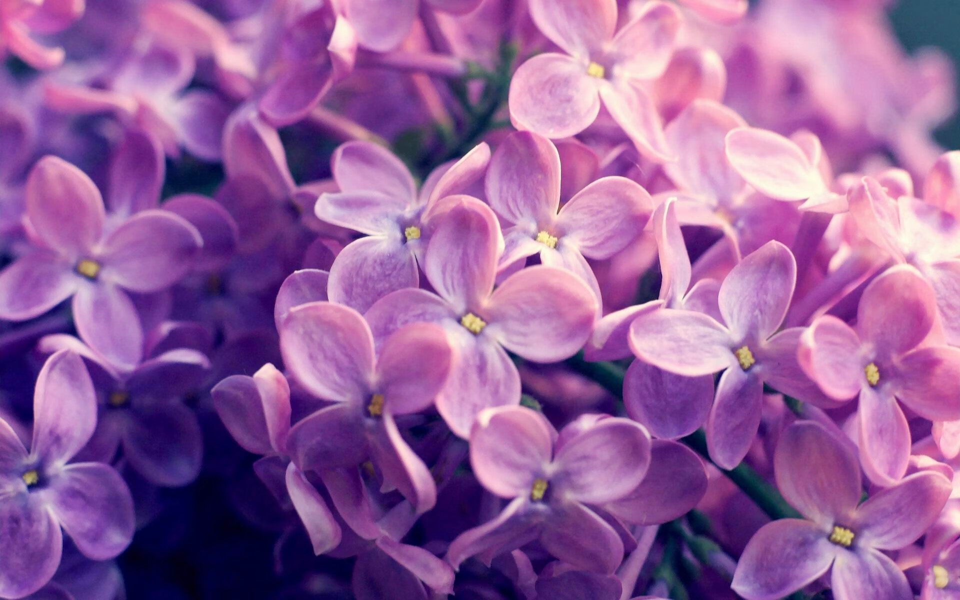 黄色防线上的叹息之墙,德里赫特如何以一己之力冻结巴萨攻势