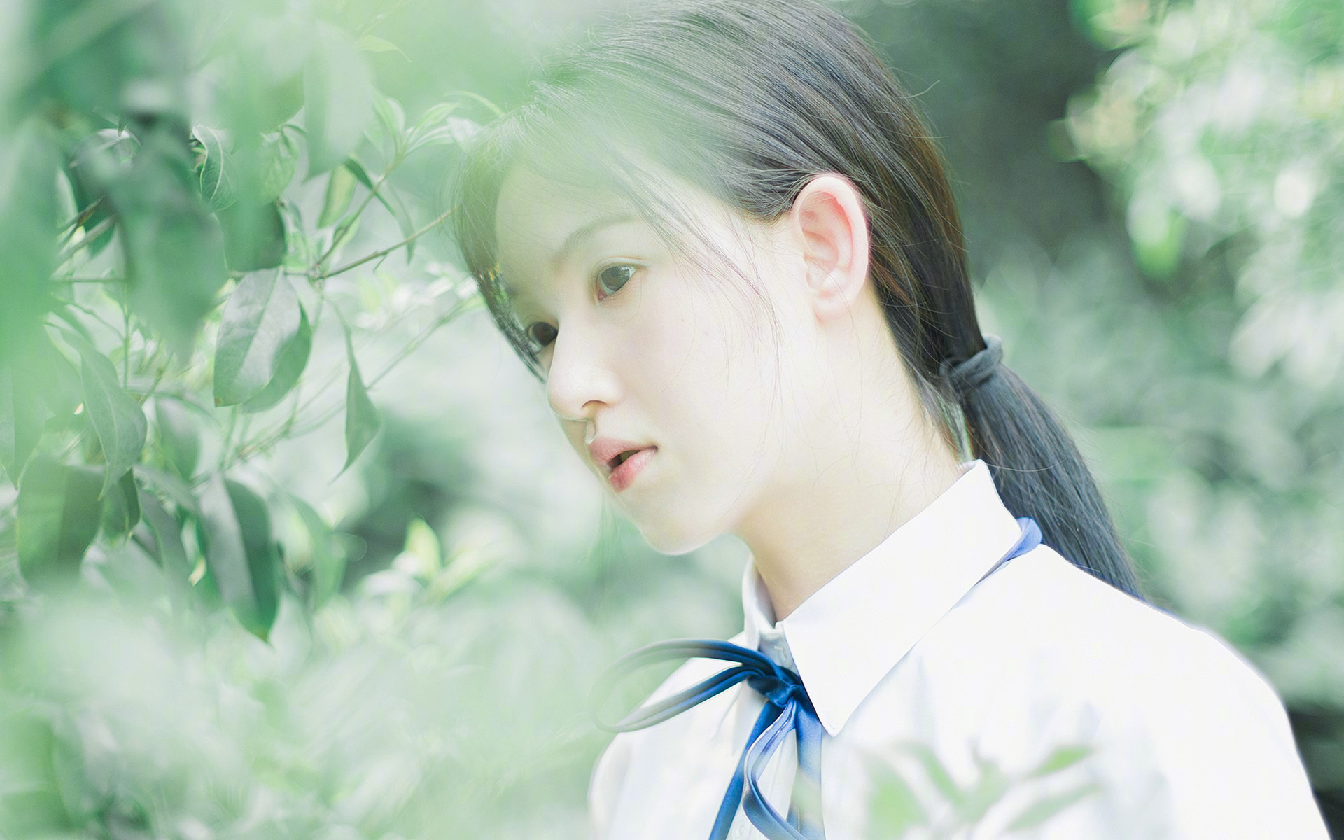 王者风范,双雄对话成凯尔特人加冕典礼,一场稳如泰山的联盟第一争夺战