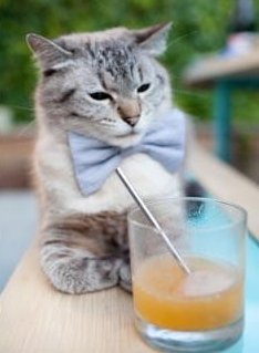 绝杀的艺术,当加纳与罗德里共享同一颗大心脏