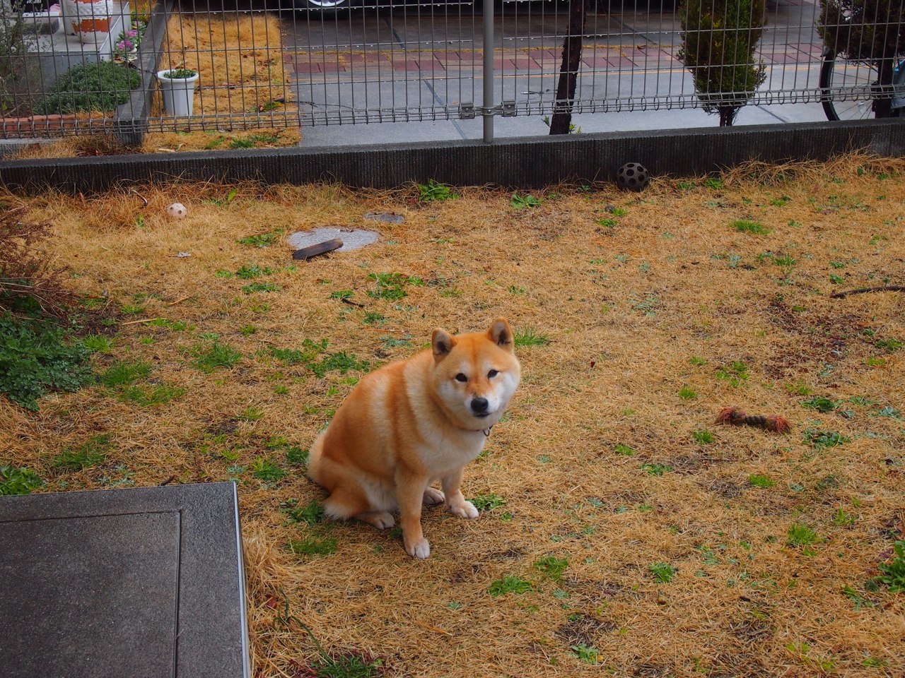 沙漠奇迹与欧冠神话,当新王崛起,旧王加冕