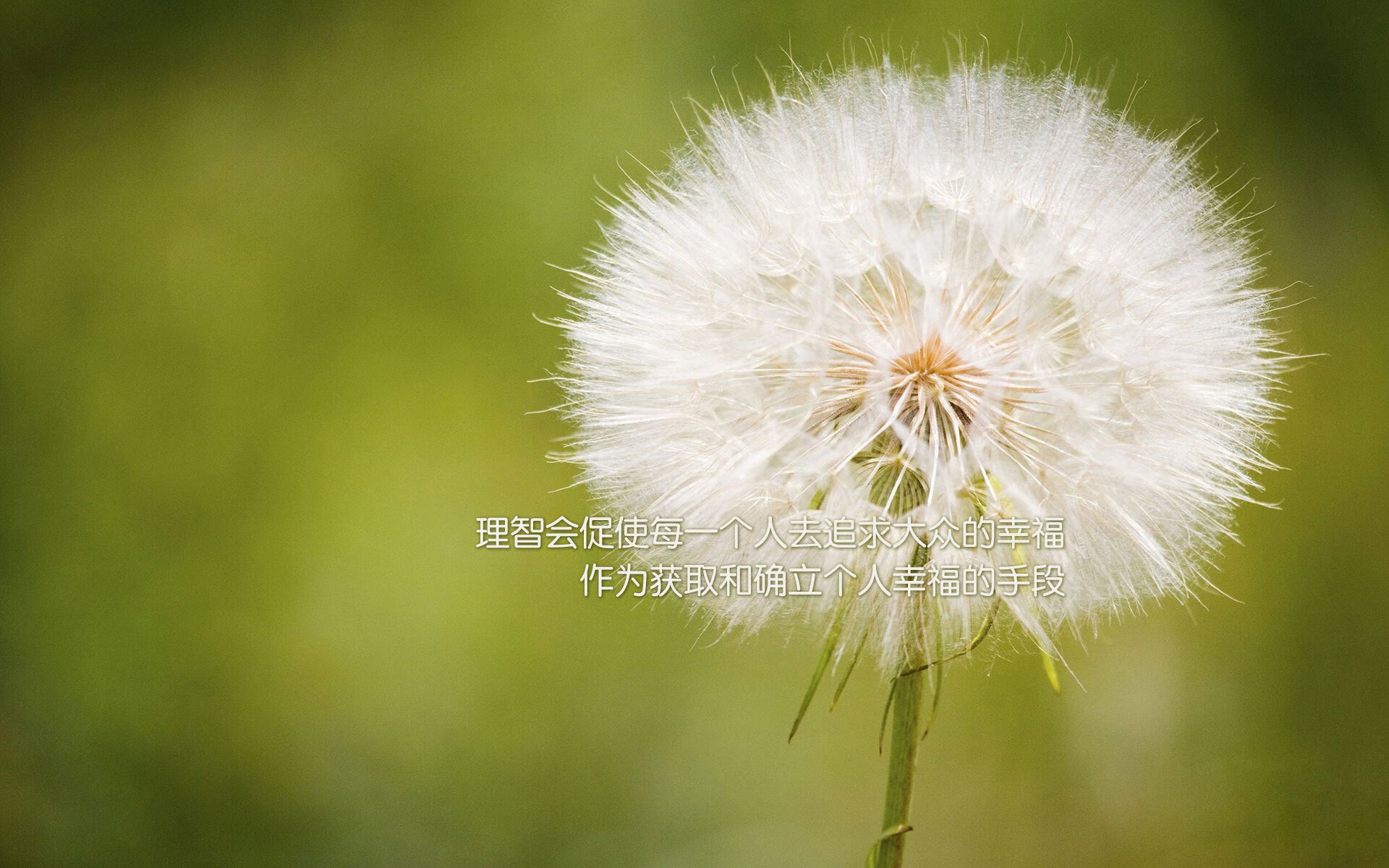 钢闸与飓风之间,皮克如何以一人之力重构哥斯达黎加对阵墨西哥的赛场物理