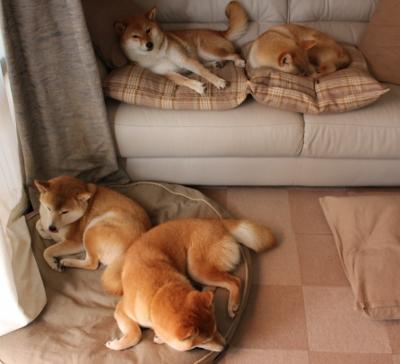 凯尔特海的回响,巨龙加时悲鸣,蒂亚戈一舞定乾坤