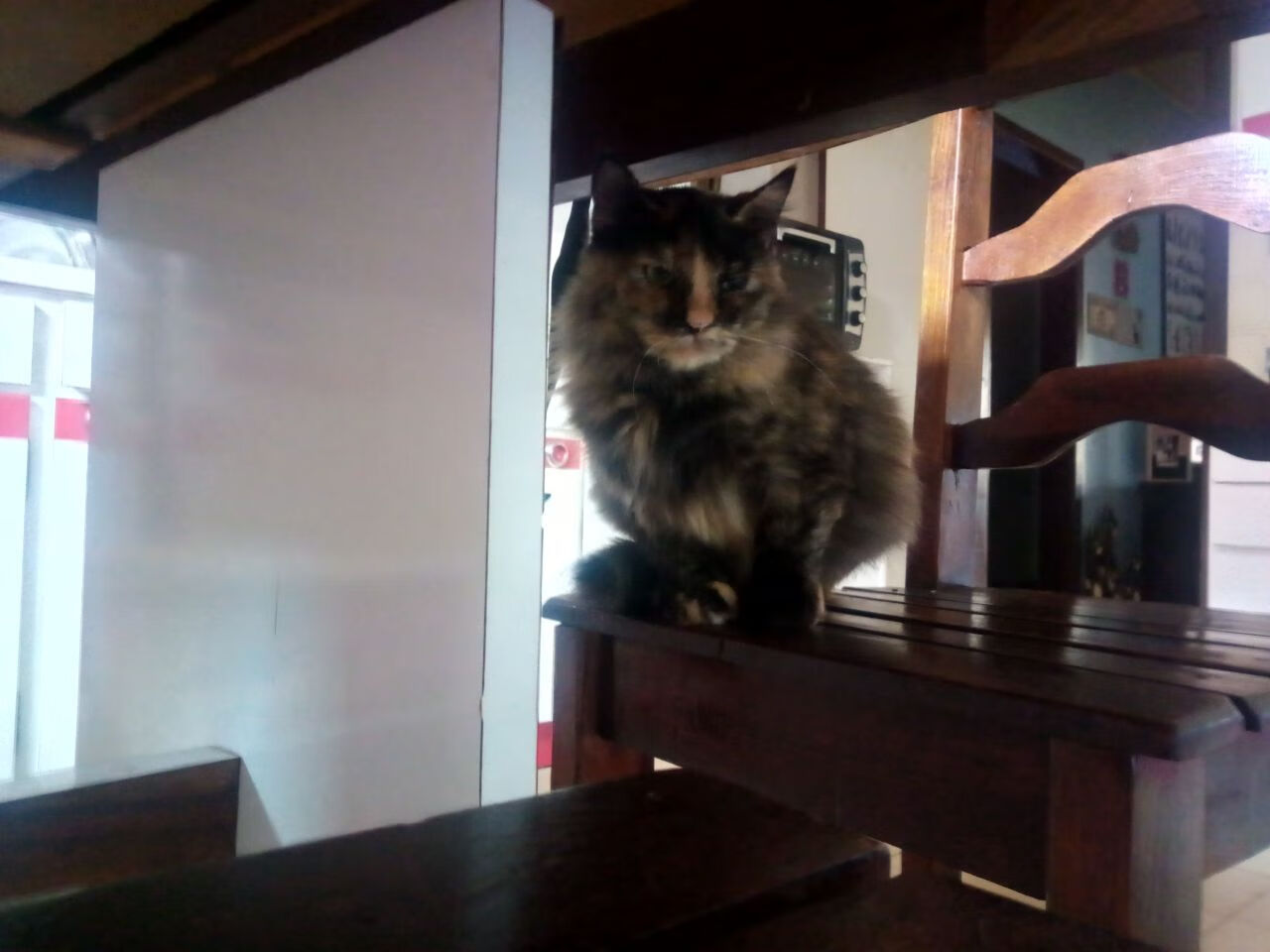 经典与新篇，莫德里奇掌控的黄昏，丹麦燃起的逆袭黎明