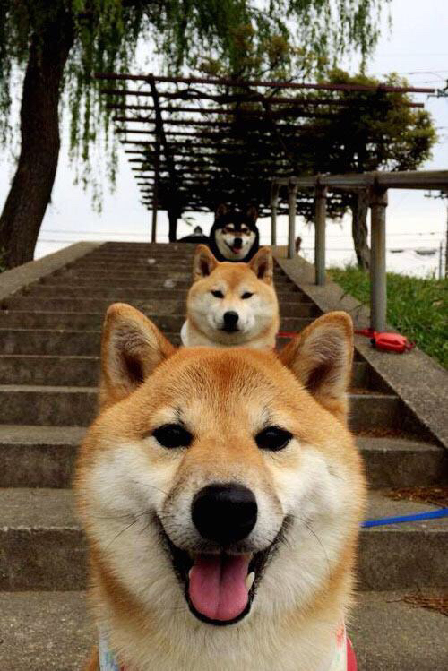 当单骑救主遇见终极团队，杰伦格林爆发之夜，辽宁如何以东方智慧击穿篮网