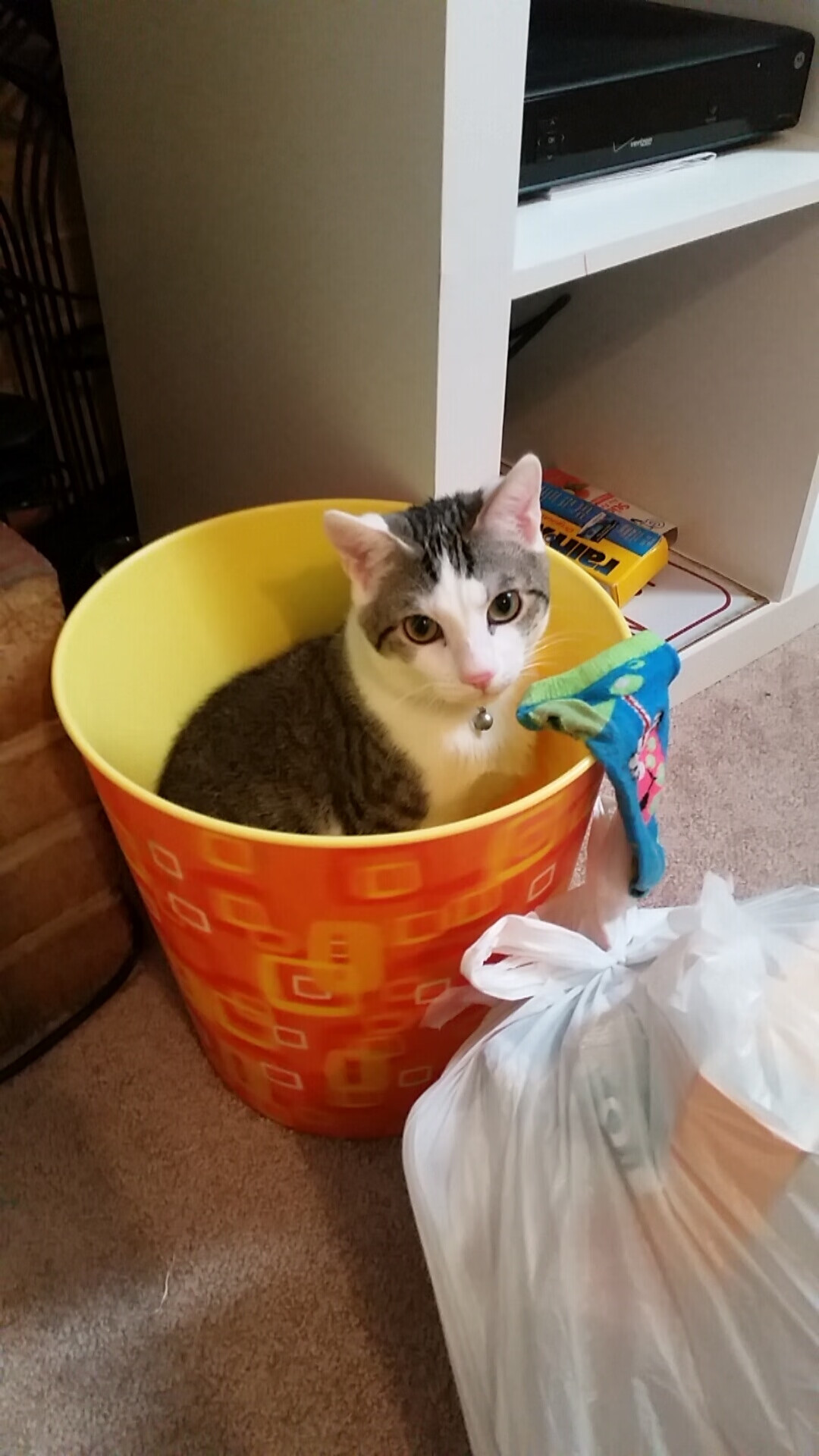 拉亚神勇扑救定乾坤，喀麦隆全面压制波兰展雄风