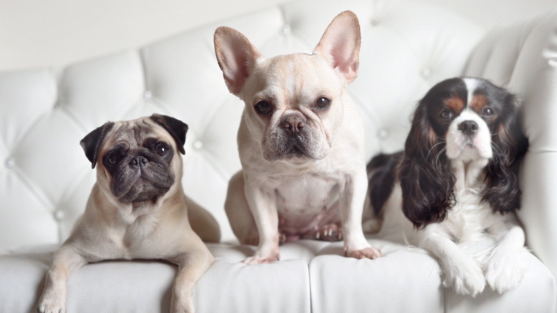 中距离武士的暮色独舞，德罗赞在三分时代雕刻复古杀阵